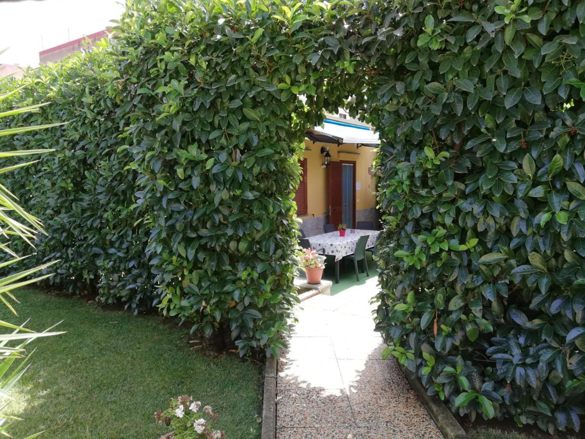 Depandance Con Piscina In Uso In Esclusivo In B&B Sant'Antonio Abate Luaran gambar